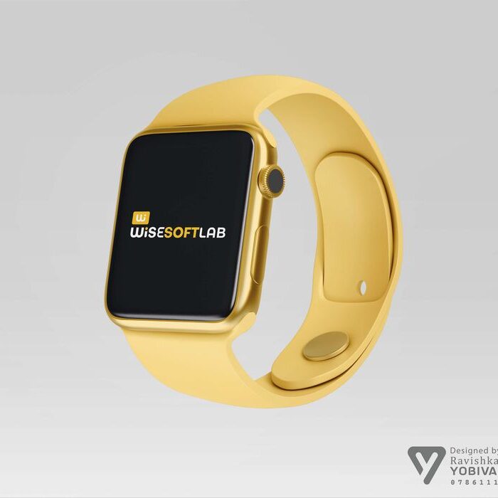 Wise Soft Lab Logo Design - Ravishka Bhashitha (2)