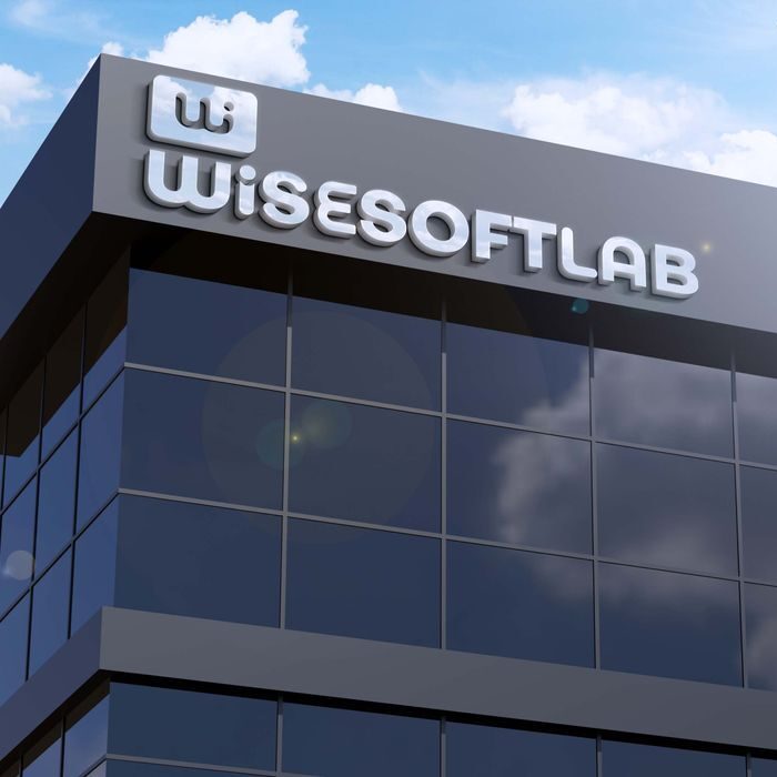 Wise Soft Lab Logo Design - Ravishka Bhashitha (4)