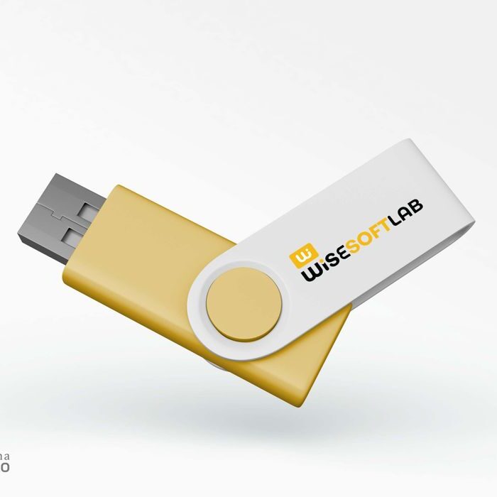 Wise Soft Lab Logo Design - Ravishka Bhashitha (5)