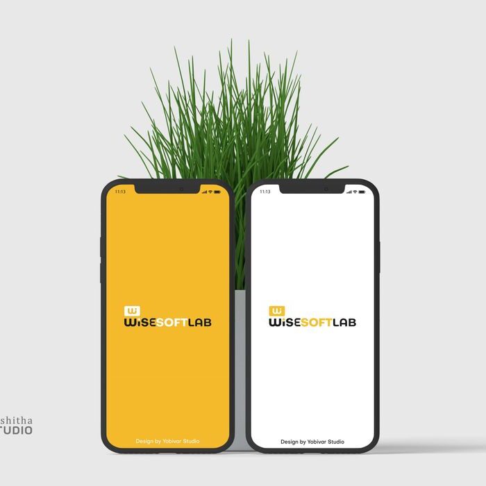 Wise Soft Lab Logo Design - Ravishka Bhashitha (6)